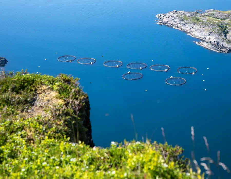 Jaulas de cultivo de salmón en el mar vistas desde un acantilado